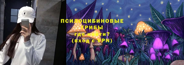 спиды Алексеевка