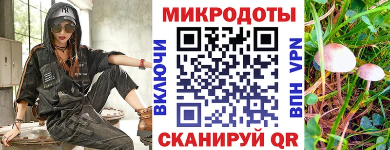Галлюциногенные грибы Psilocybe  OMG ССЫЛКА  Безенчук 
